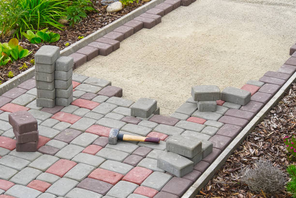 Best Driveway Paving Near Me  in Pamplico, SC