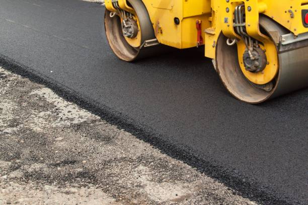 Best Driveway Pavers Near Me  in Pamplico, SC